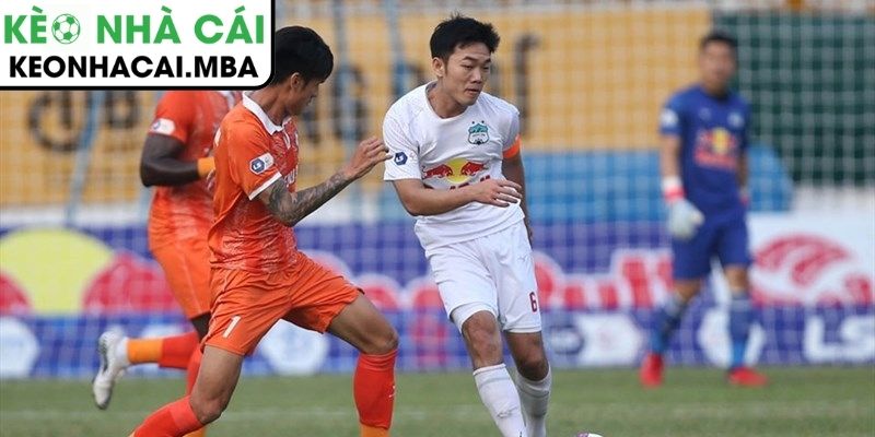 Phong độ Ninh Bình

